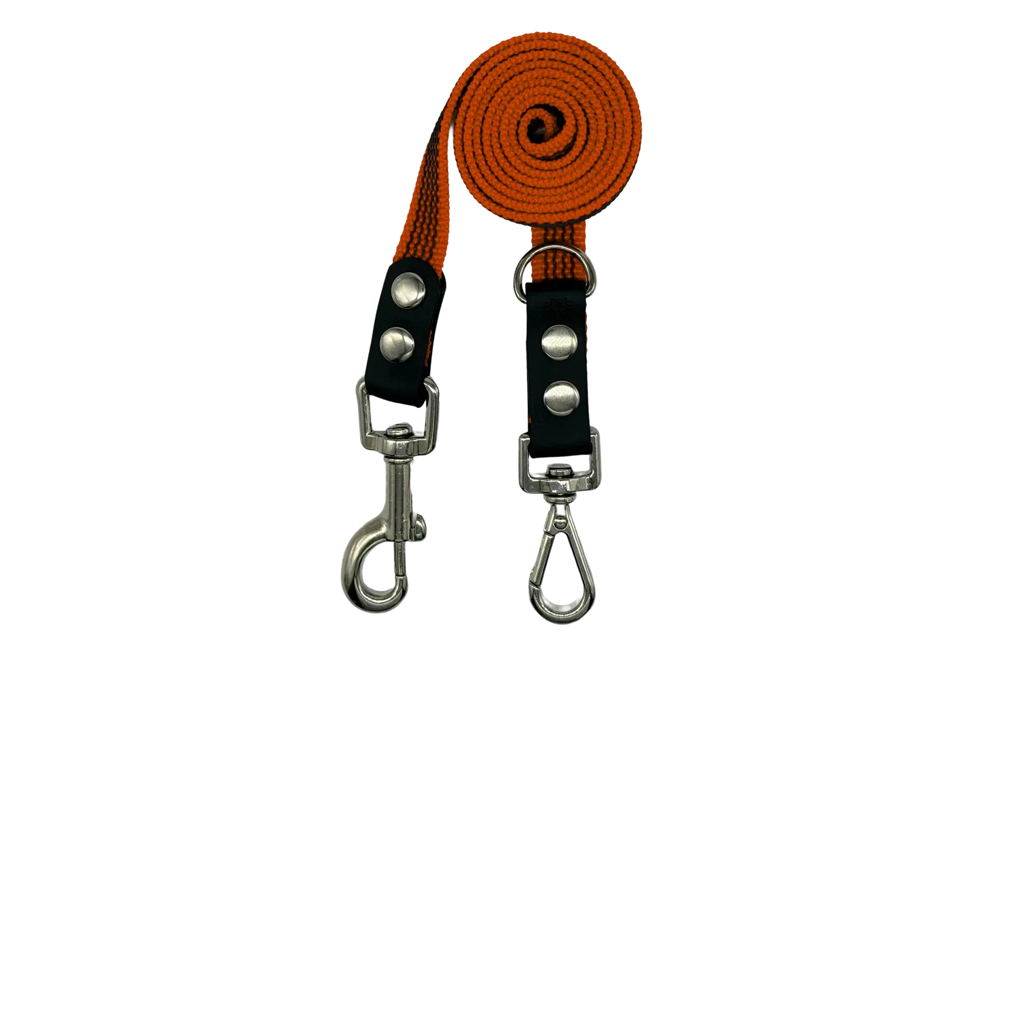 Orange dog leash with metal hooks on a white background