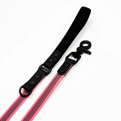 Leash FLEX • Neon Pink