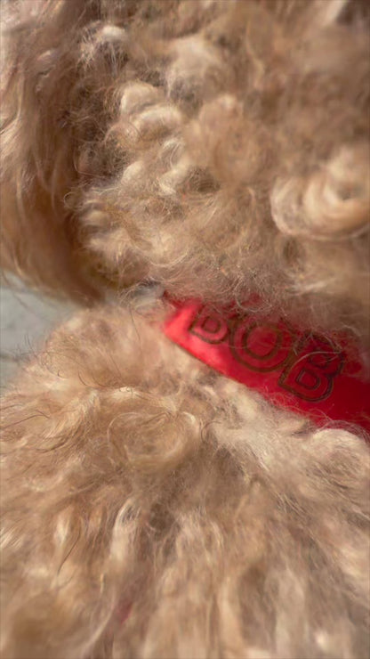 Collar MONO • Red