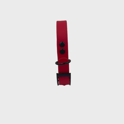 Collar MONO • Red