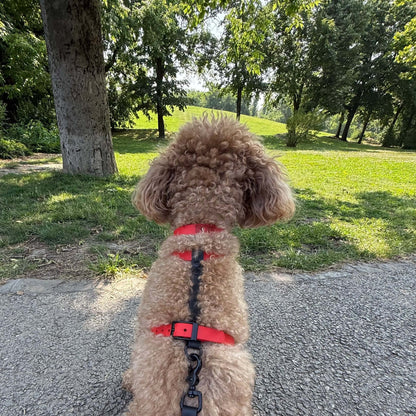Harness MONO • Red